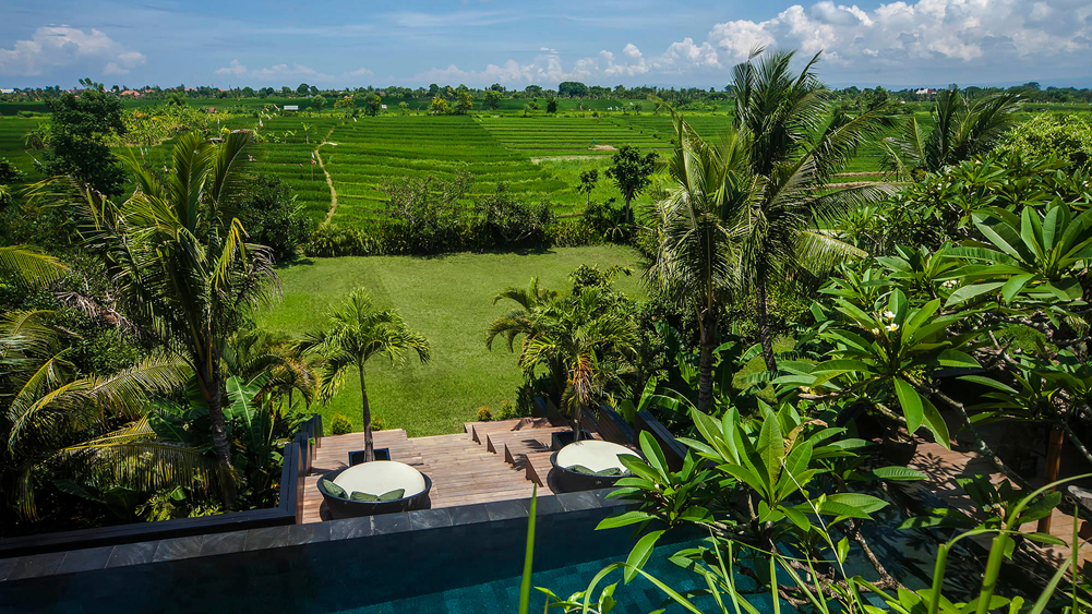 Villa Mana - Rice terrace outlook